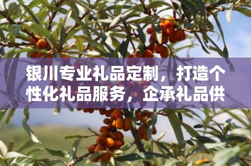 银川专业礼品定制，打造个性化礼品服务，企承礼品供应链助力商务之选