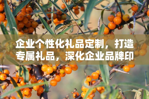 企业个性化礼品定制，打造专属礼品，深化企业品牌印象