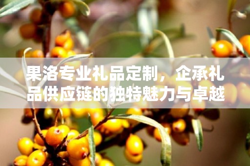 果洛专业礼品定制，企承礼品供应链的独特魅力与卓越服务