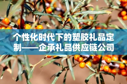 个性化时代下的塑胶礼品定制——企承礼品供应链公司引领行业新风尚