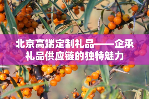 北京高端定制礼品——企承礼品供应链的独特魅力
